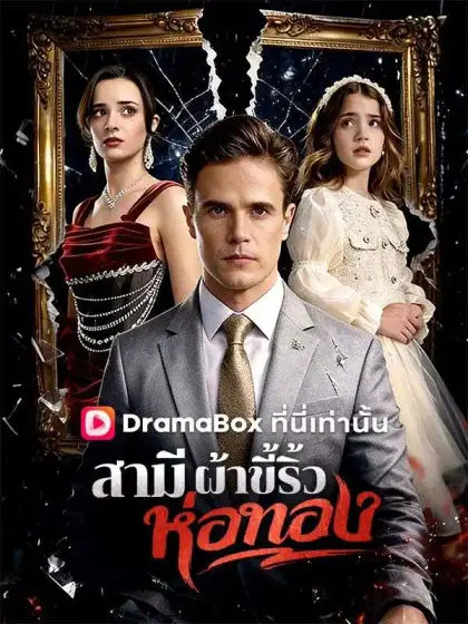 สามีผ้าขี้ริ้วห่อทอง(พากย์ไทย)